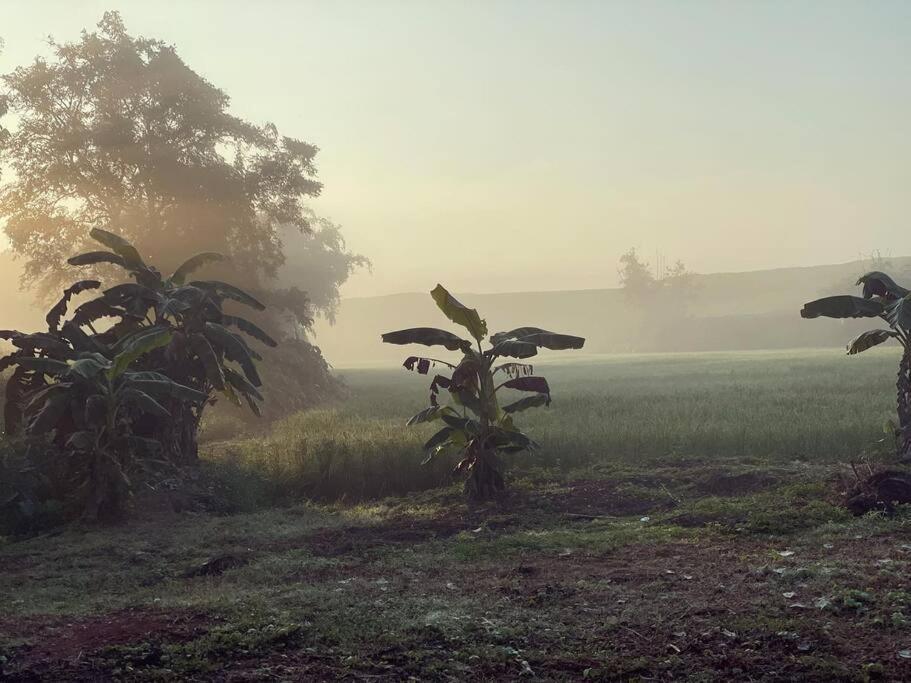 Punpawn Farm-Stay Villa B Chiang Saen Exterior photo